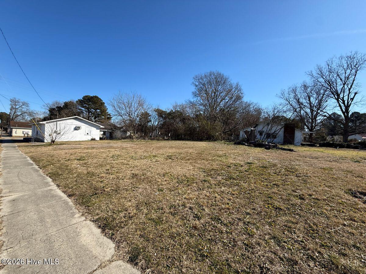 Off Of Southeast Center Street Mount Olive, NC 28365 - Photo 11 of 22 11