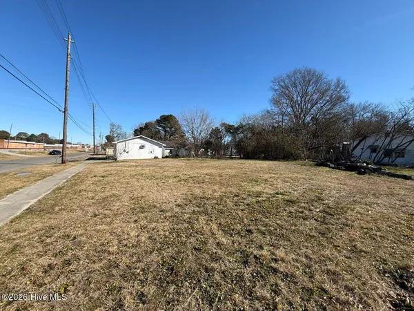 $5,000 | Off Of Southeast Center Street, Mount Olive, NC 28365