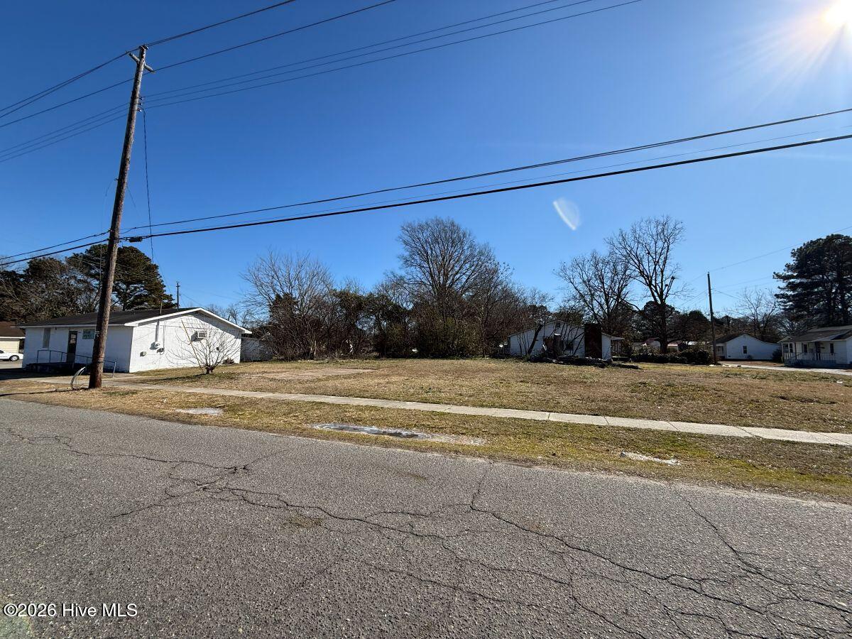 Off Of Southeast Center Street Mount Olive, NC 28365 - Photo 18 of 22 18
