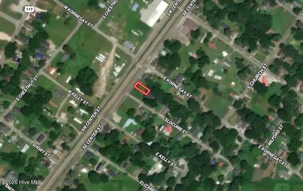 $5,000 | Off Of Southeast Center Street, Mount Olive, NC 28365