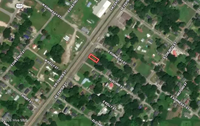 $5,000 | Off Of Southeast Center Street, Mount Olive, NC 28365