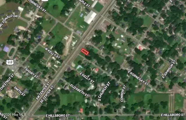 $5,000 | Off Of Southeast Center Street, Mount Olive, NC 28365