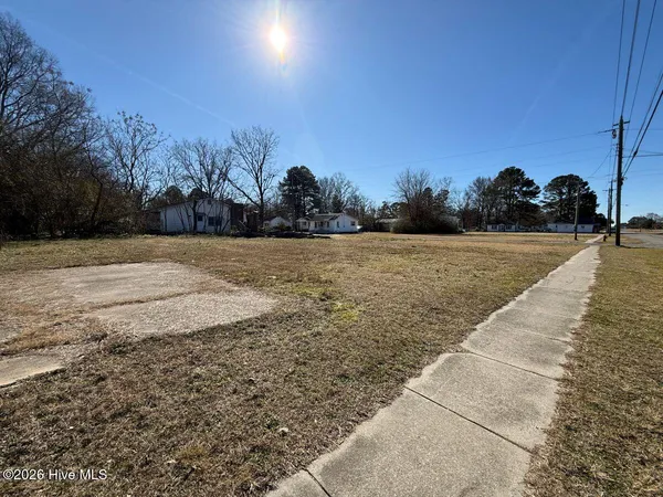 $5,000 | Off Of Southeast Center Street, Mount Olive, NC 28365