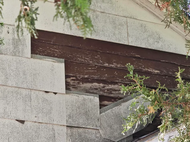 a view of a yard with yellow plants
