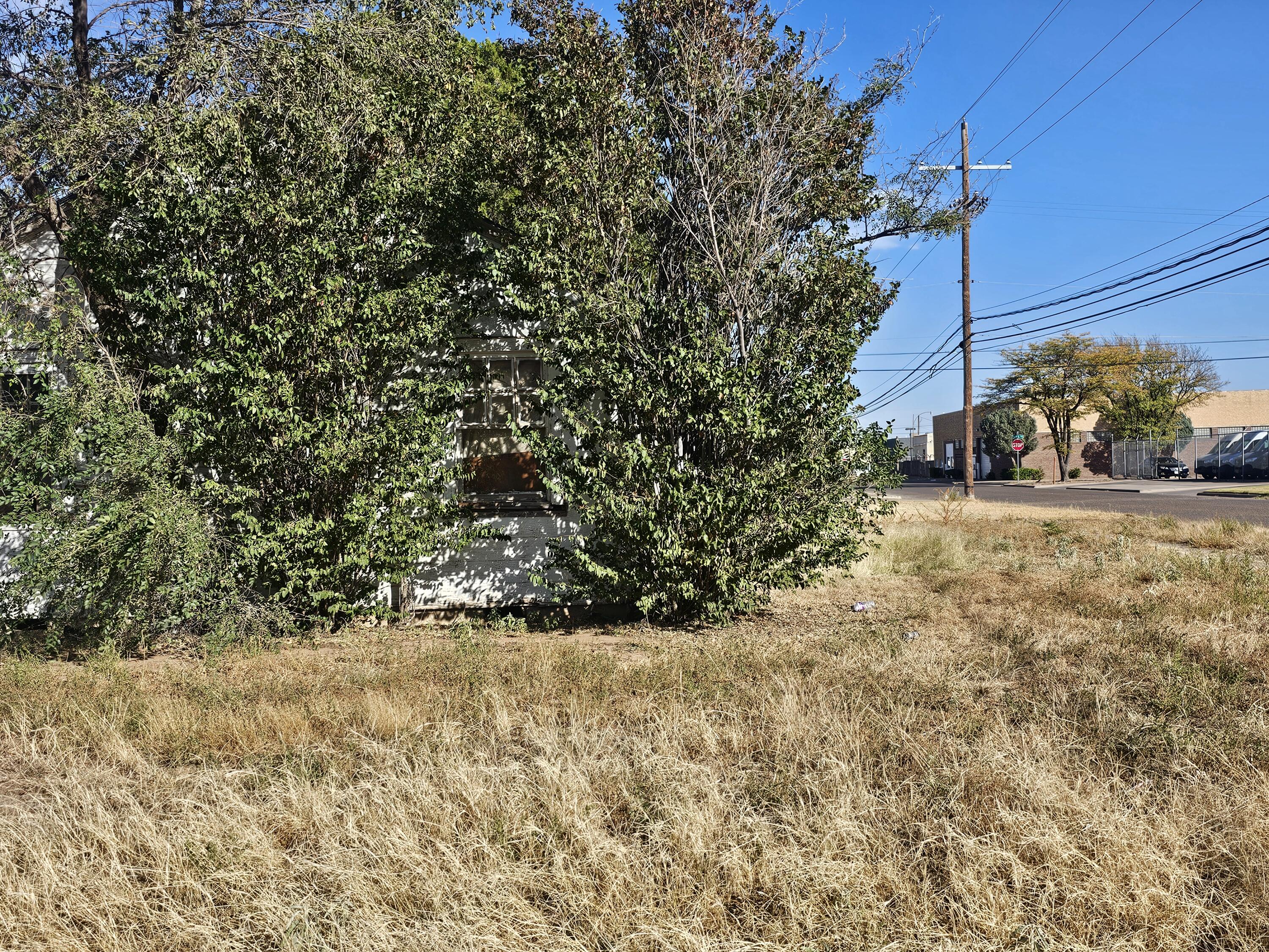 1514 18th Street Lubbock, TX 79401 - Photo 13 of 47 a view of a yard with yellow plants