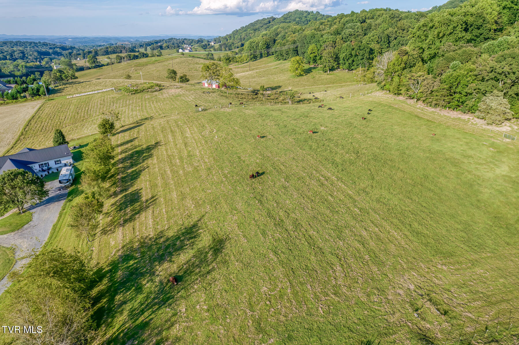170 Burhl Chase Road Gray, TN 37615 - Photo 62 of 77 170 Burhl Chase Rd-7