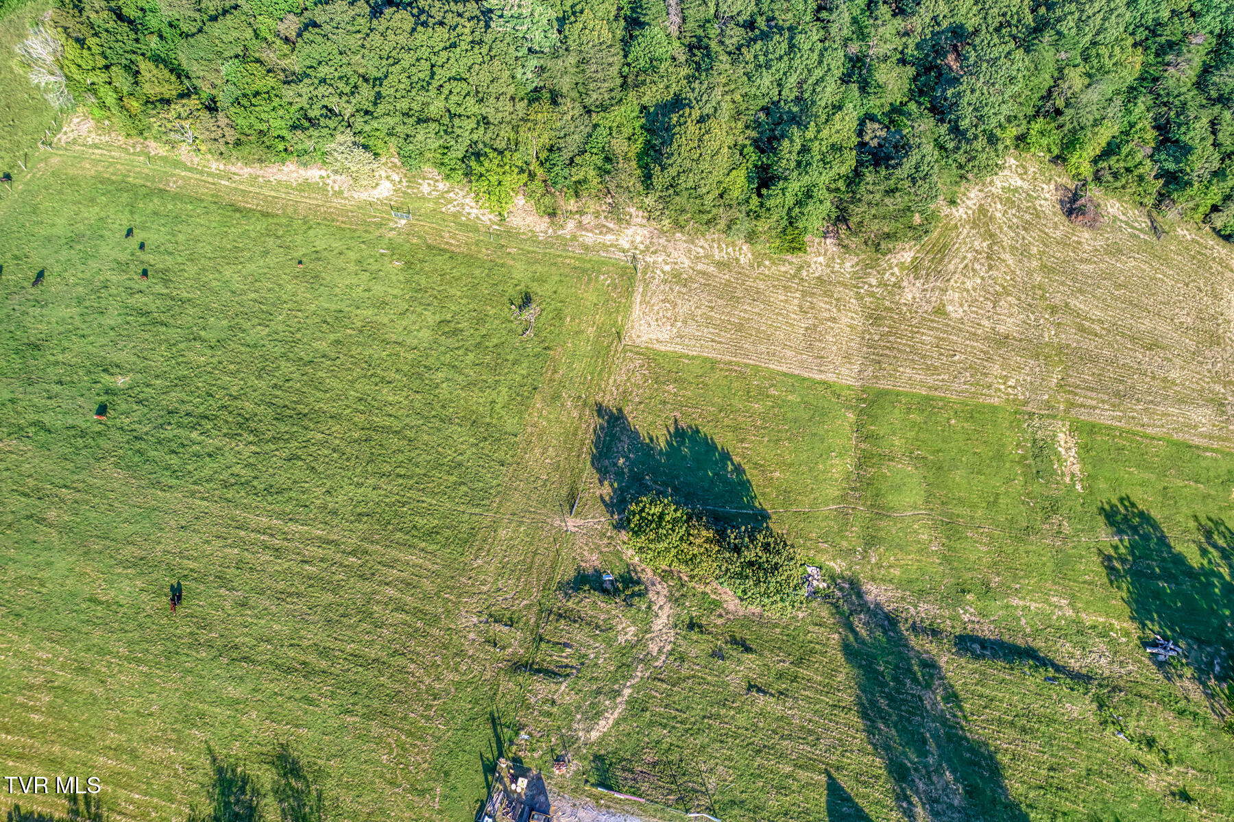 170 Burhl Chase Road Gray, TN 37615 - Photo 64 of 77 170 Burhl Chase Rd-9