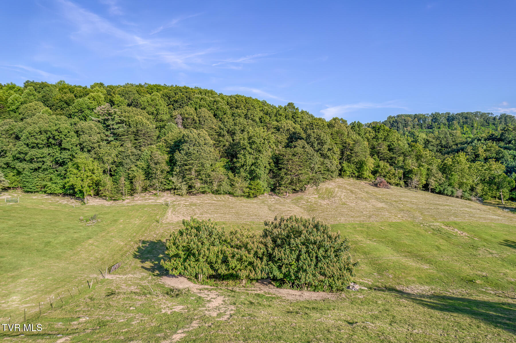 170 Burhl Chase Road Gray, TN 37615 - Photo 66 of 77 170 Burhl Chase Rd-4