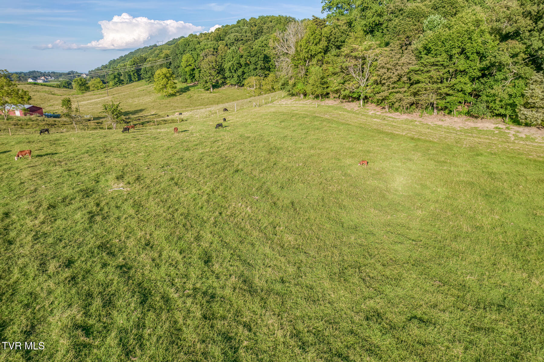 170 Burhl Chase Road Gray, TN 37615 - Photo 68 of 77 170 Burhl Chase Rd-13