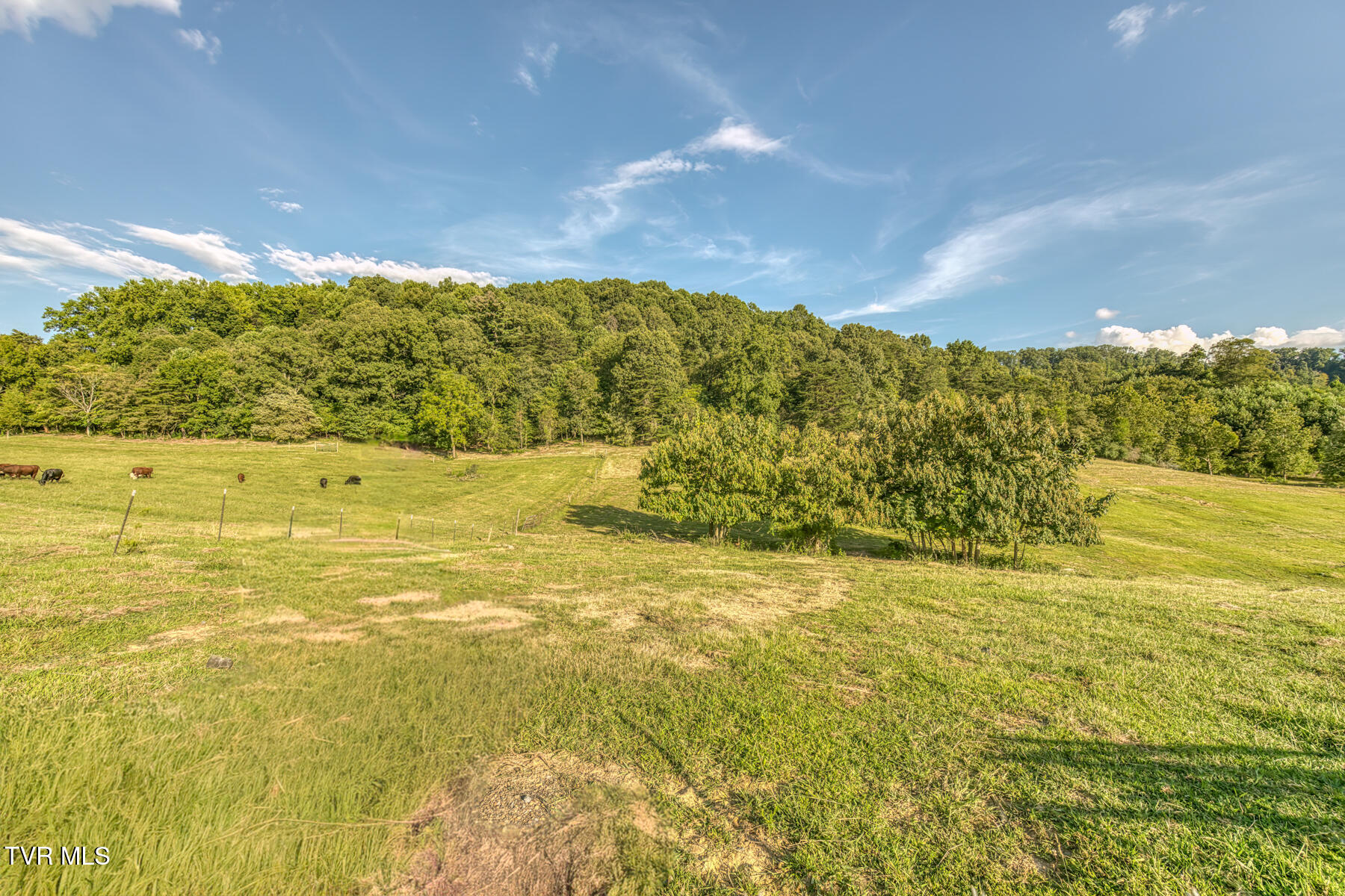 170 Burhl Chase Road Gray, TN 37615 - Photo 72 of 77 170 Burhl Chase Rd-88