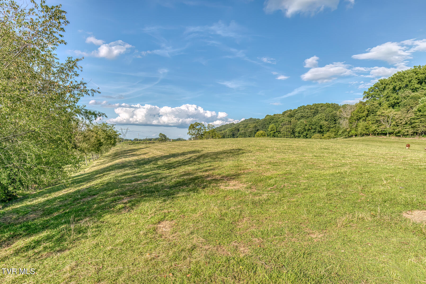 170 Burhl Chase Road Gray, TN 37615 - Photo 73 of 77 170 Burhl Chase Rd-90