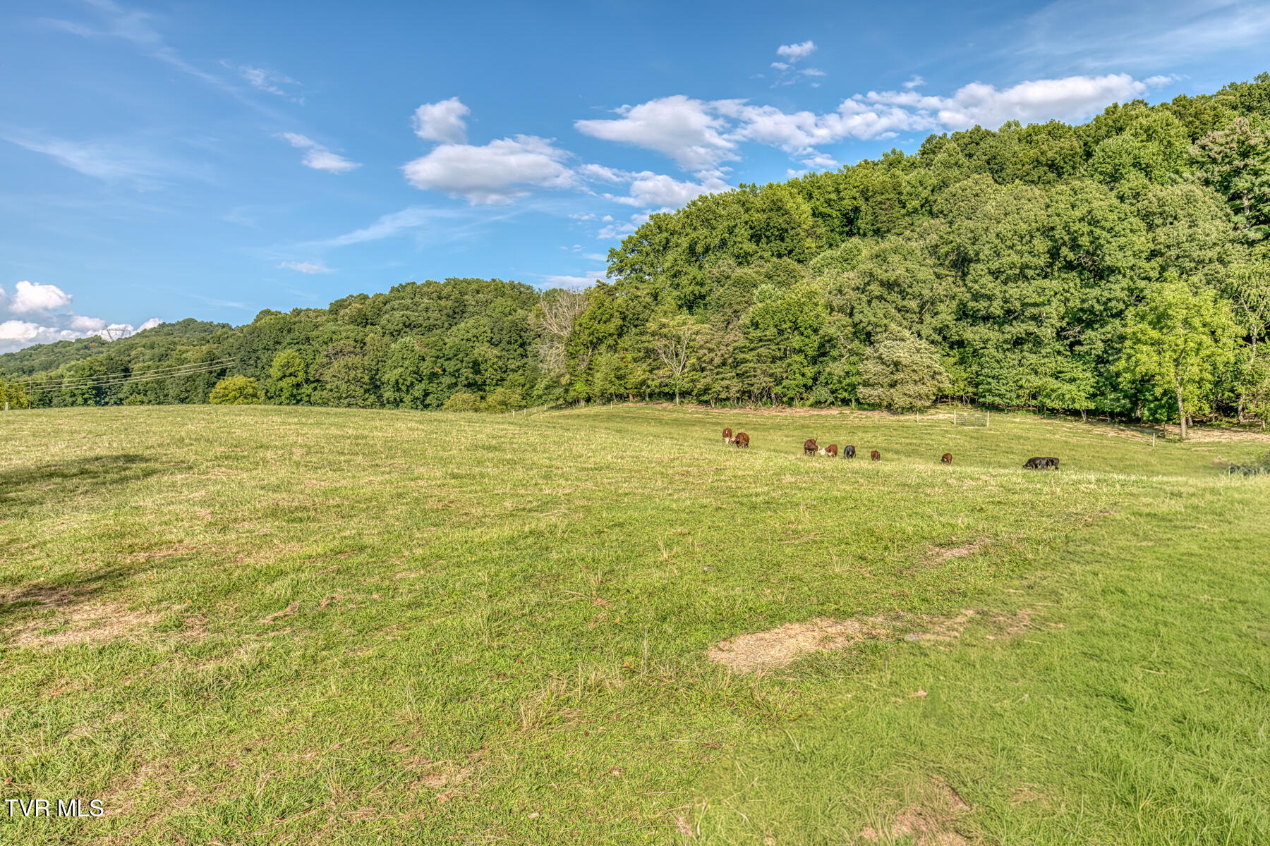 170 Burhl Chase Road Gray, TN 37615 - Photo 74 of 77 170 Burhl Chase Rd-91