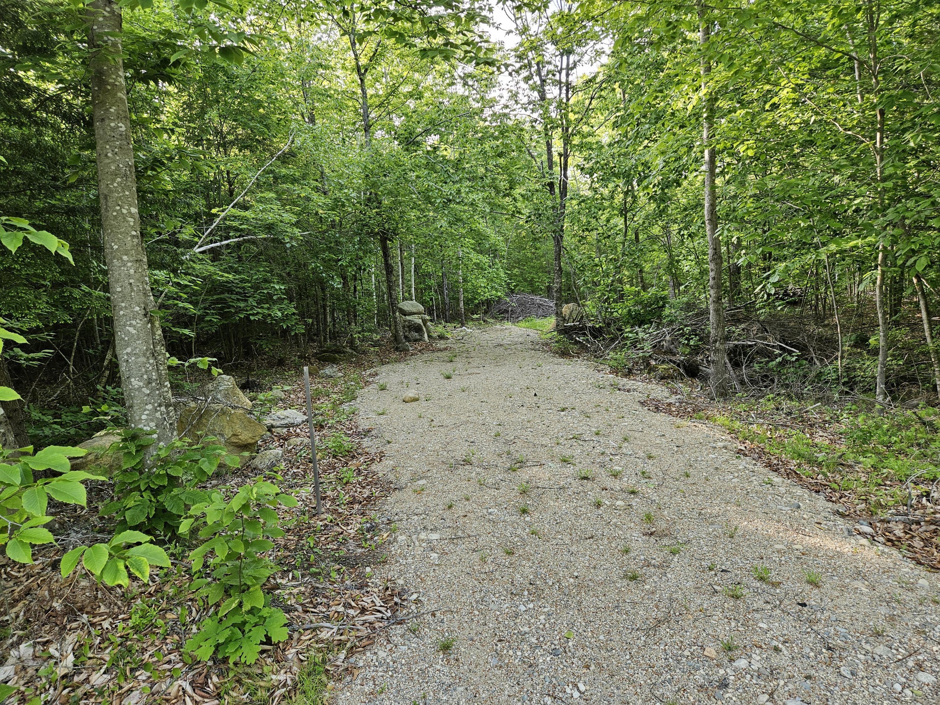170 Emery Corner Road Limerick, ME 04048 - Photo 4 of 11 20250603_181757