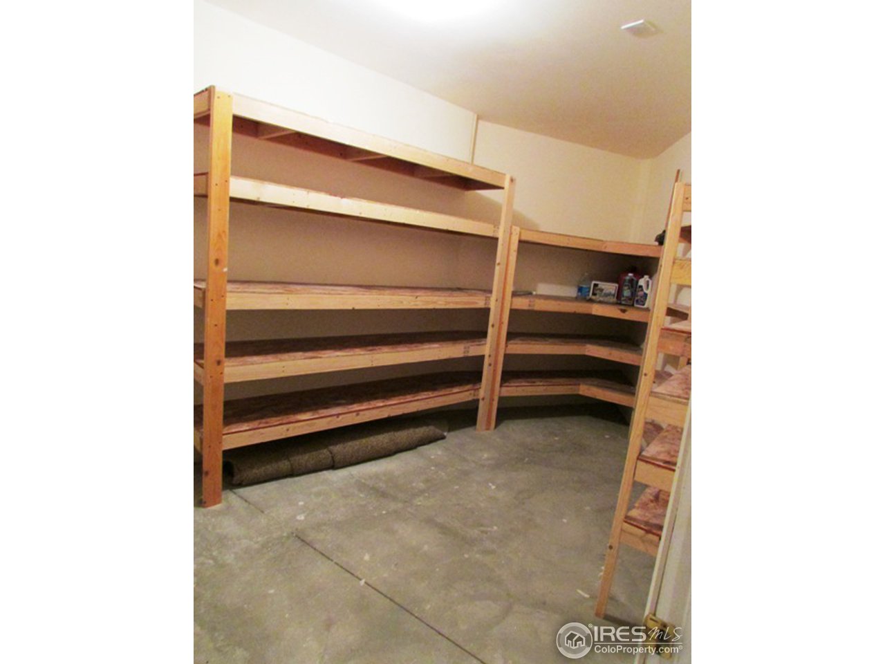 222 Beartrap Road Red Feather Lakes, CO 80545 - Photo 23 of 24 Storage room