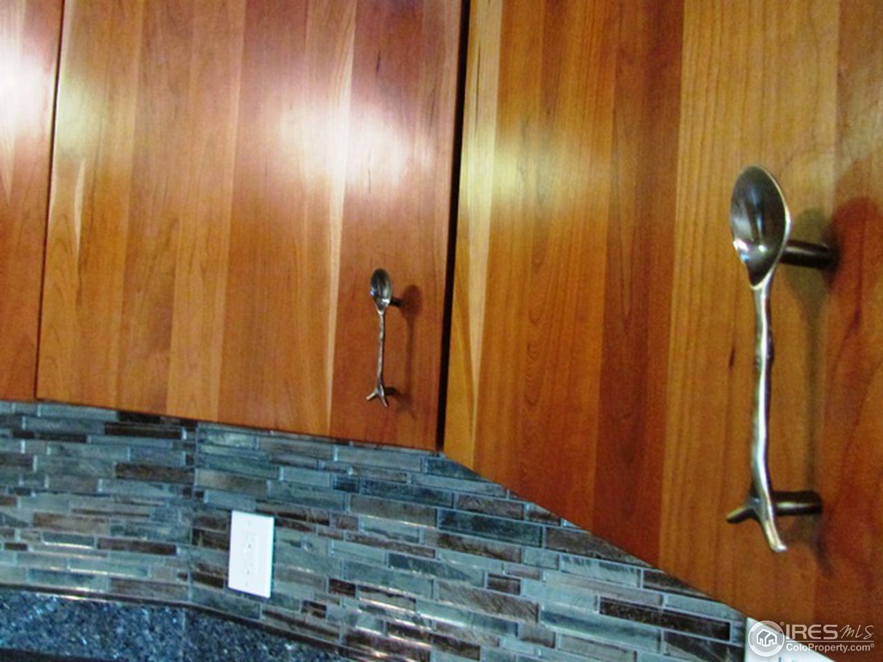 222 Beartrap Road Red Feather Lakes, CO 80545 - Photo 6 of 24 Extra spoons