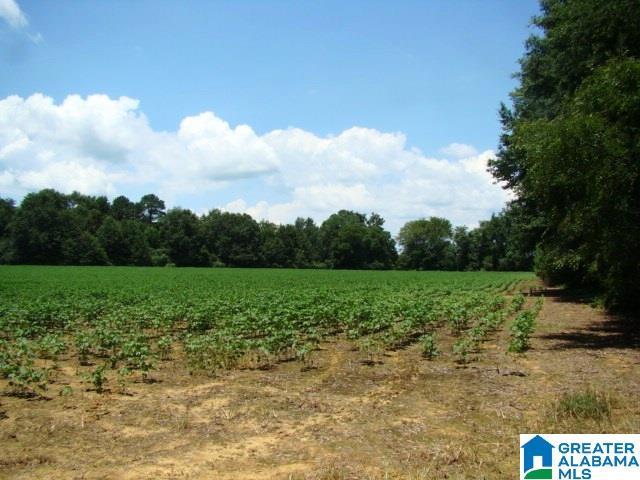 0 Duggar Mountain Road, Unit 27 Piedmont, AL 36272 - Photo 2 of 3