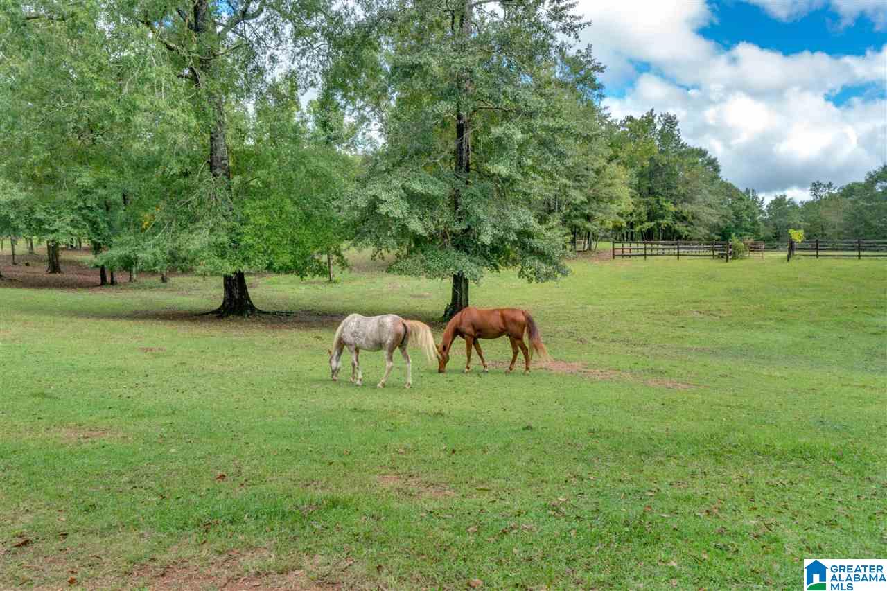 1645 County Road 153 Jemison, AL 35085 - Photo 49 of 50