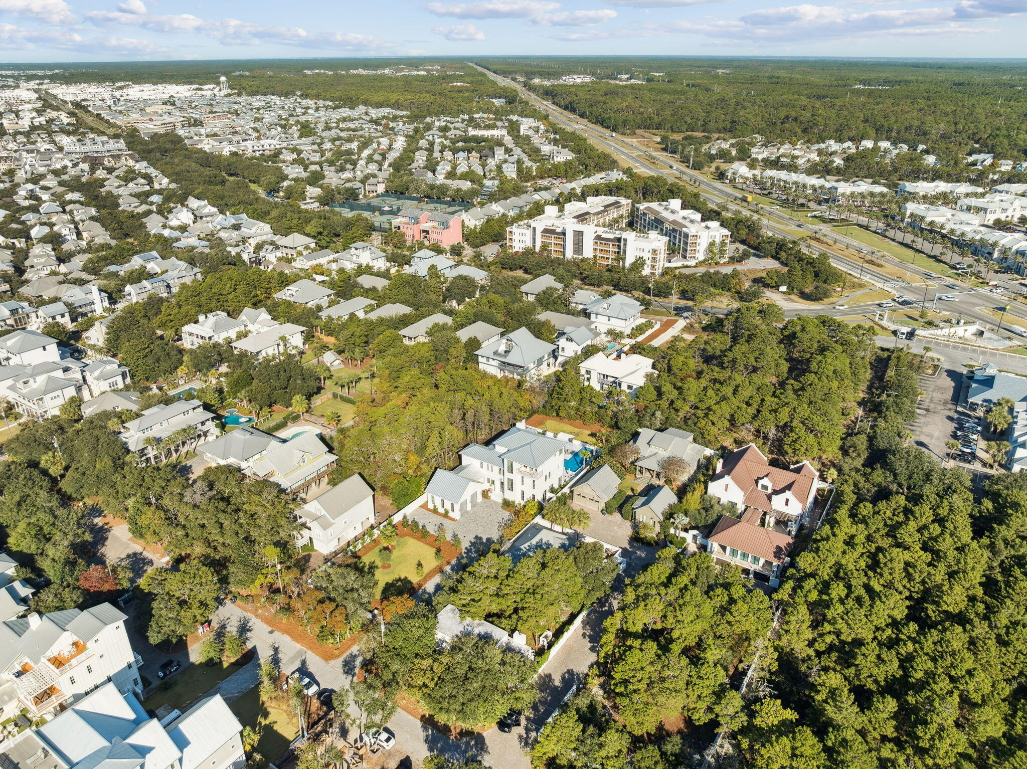 306 Walton Rose Lane Inlet Beach, FL 32461 - Photo 94 of 117 306 Walton Rose