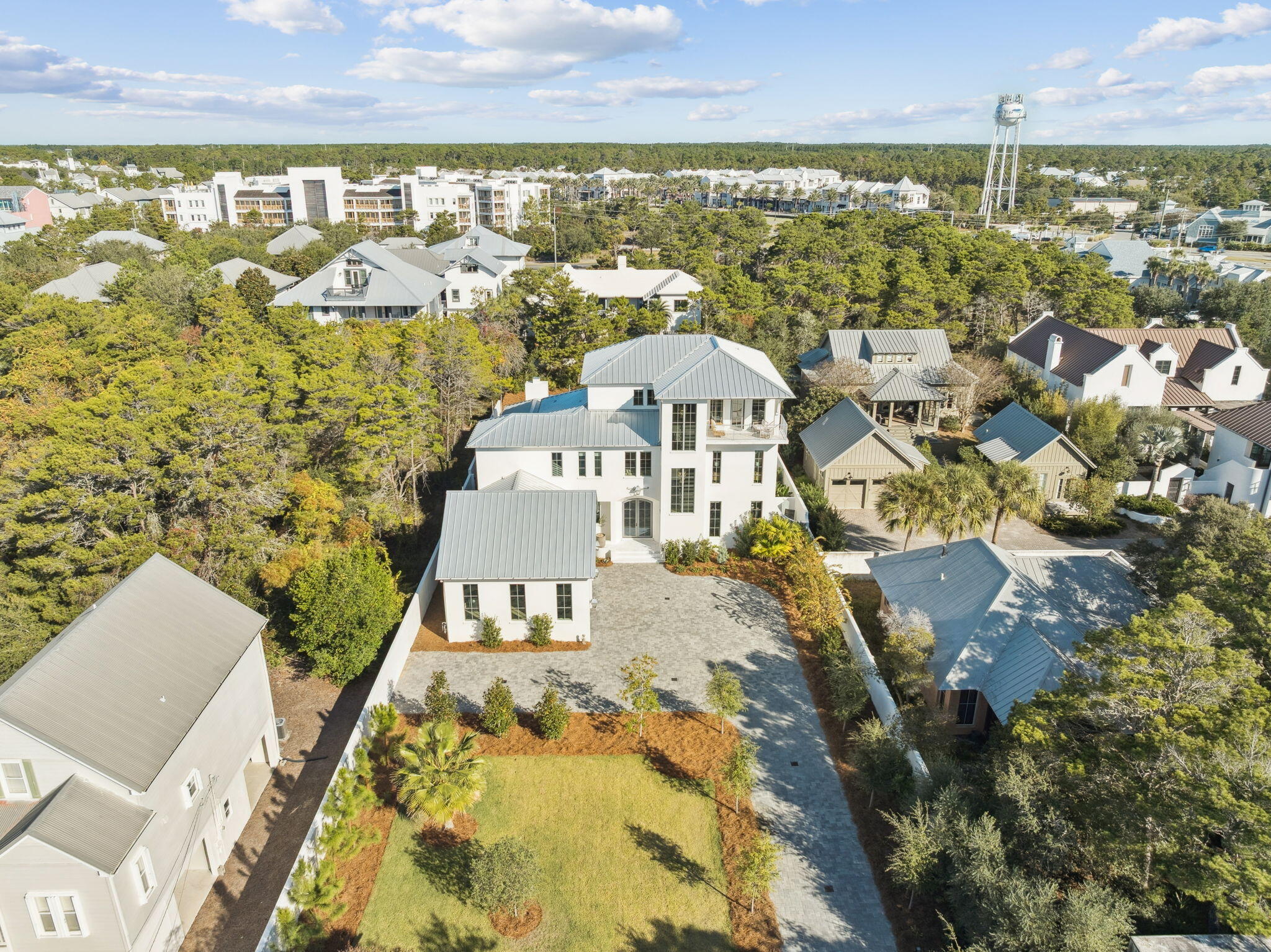 306 Walton Rose Lane Inlet Beach, FL 32461 - Photo 96 of 117 306 Walton Rose