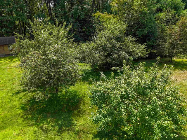 $330,000 | 895 Waterworks Road, Nekoosa, WI 54457