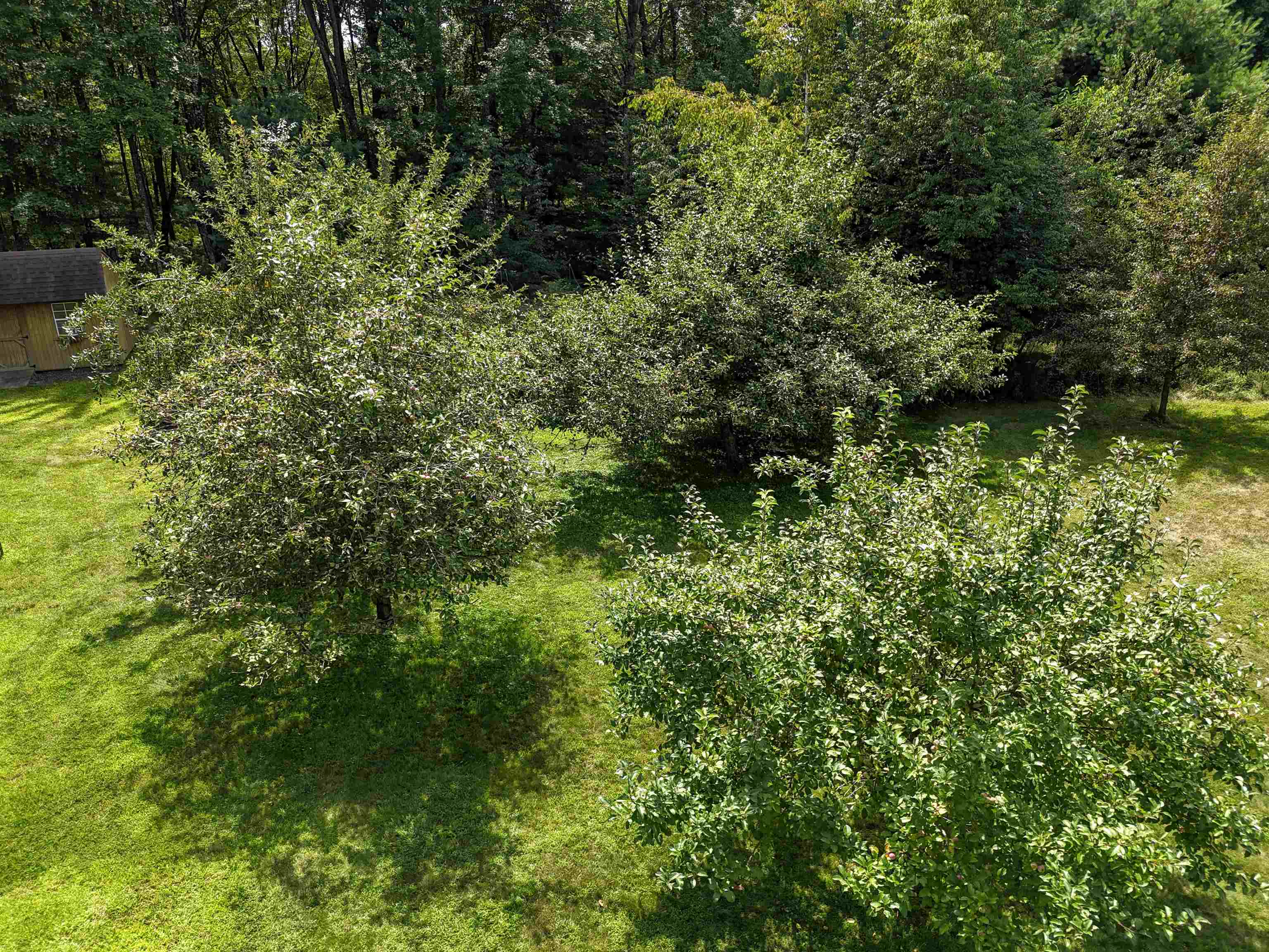 895 Waterworks Road Nekoosa, WI 54457 - Photo 60 of 63