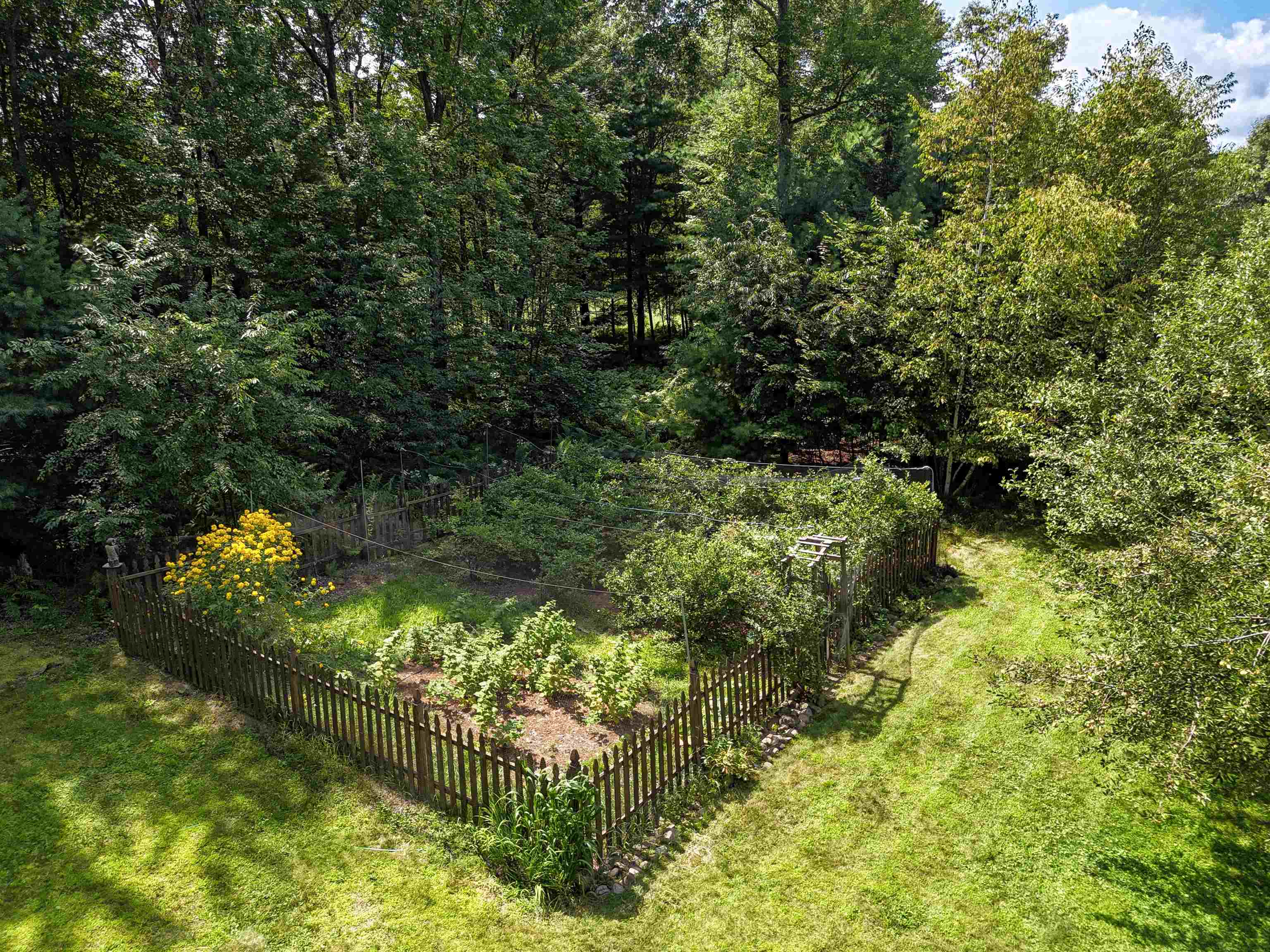 895 Waterworks Road Nekoosa, WI 54457 - Photo 61 of 63