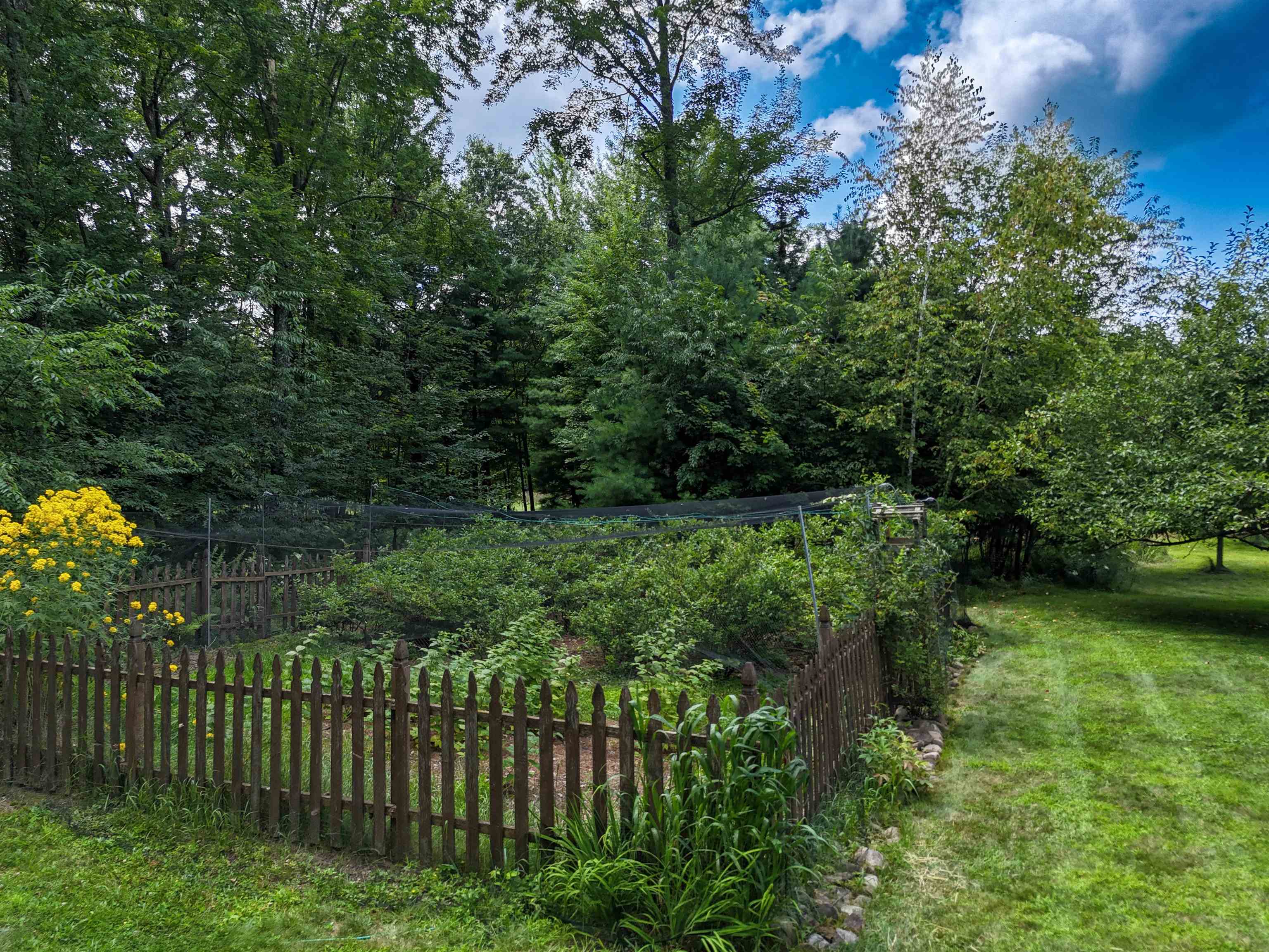 895 Waterworks Road Nekoosa, WI 54457 - Photo 62 of 63