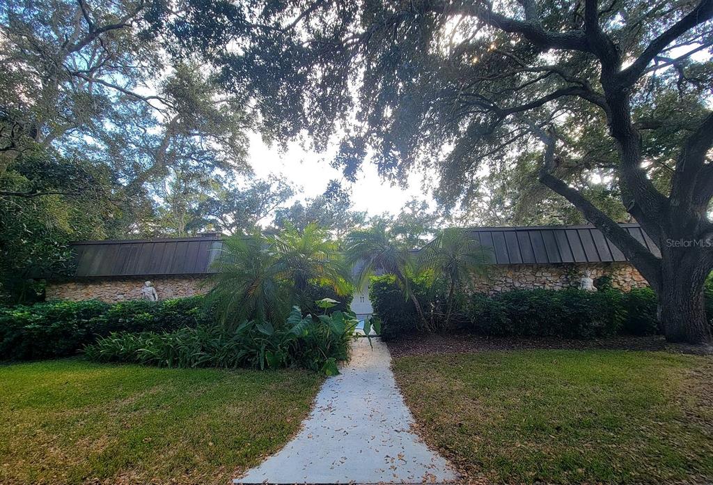 a view of a back yard