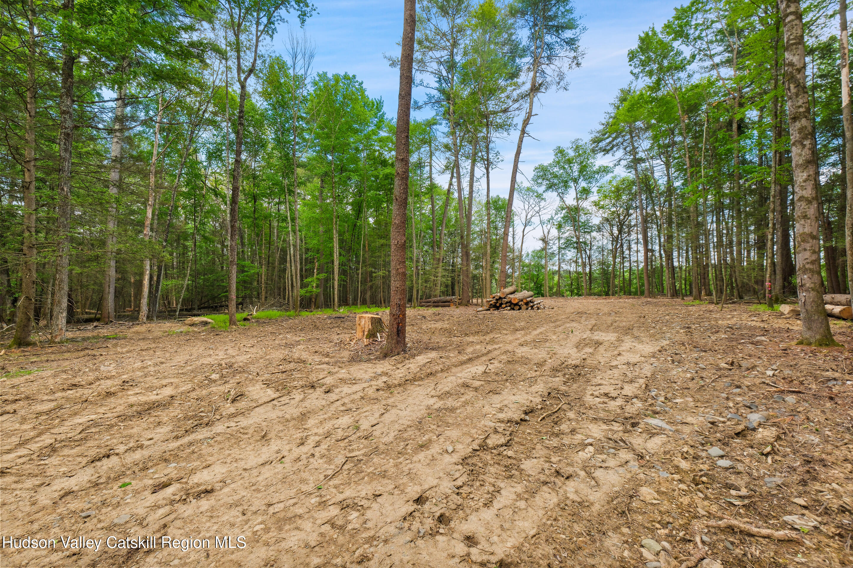209 Beaverkill Road Kingston, NY 12401 - Photo 33 of 44 DSCF0209_1
