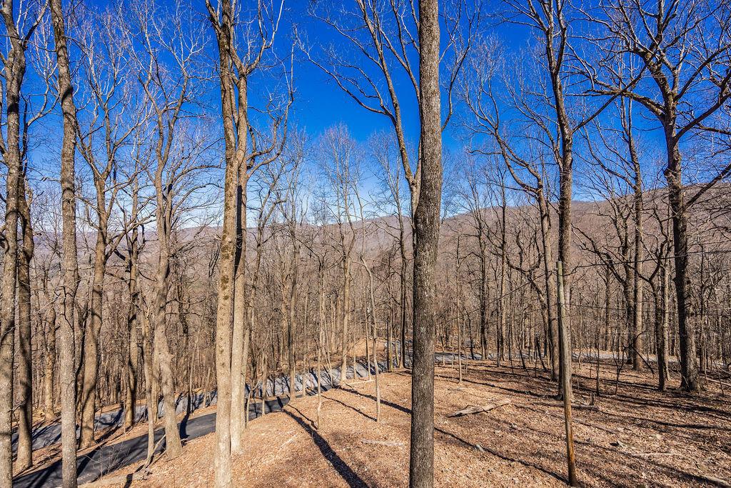 1006 Chestnut Cove Trail Jasper, GA 30143 - Photo 29 of 33 a view of a backyard of the house