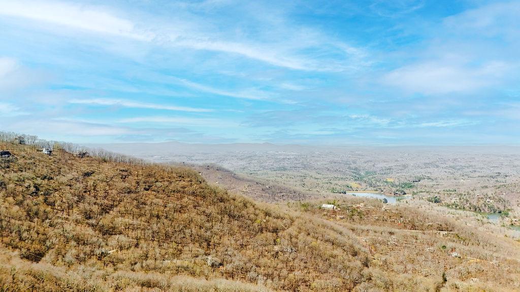1006 Chestnut Cove Trail Jasper, GA 30143 - Photo 30 of 33 a view of a yard with wooden fence