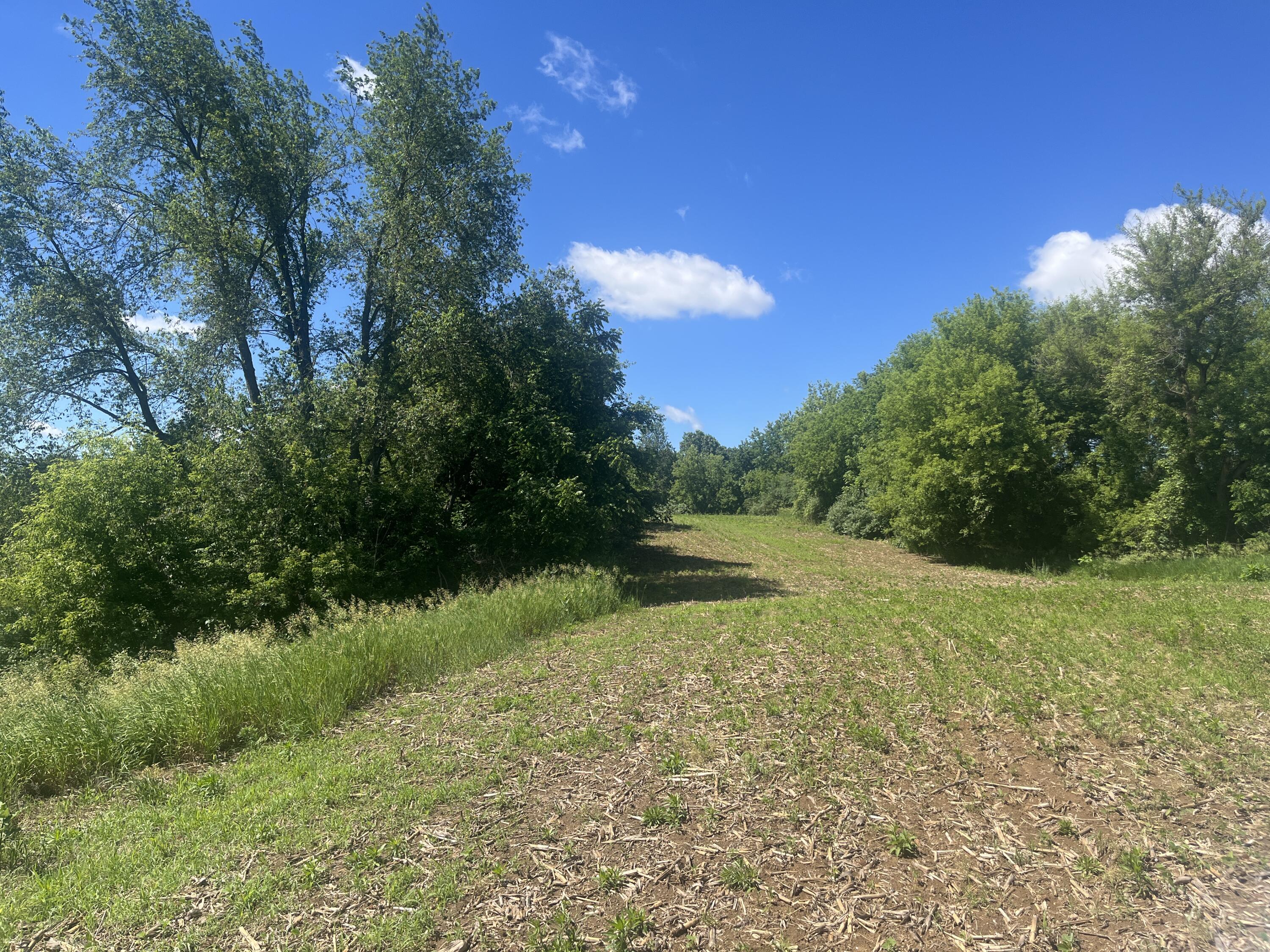 0 Fahrner Road Chelsea, MI 48118 - Photo 18 of 31 Fahrner Rd - 12