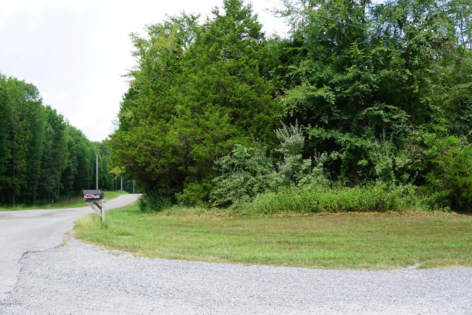 0 Sugar Creek Road Goreville, IL 62939 - Photo 1 of 8 Gallery Image 1