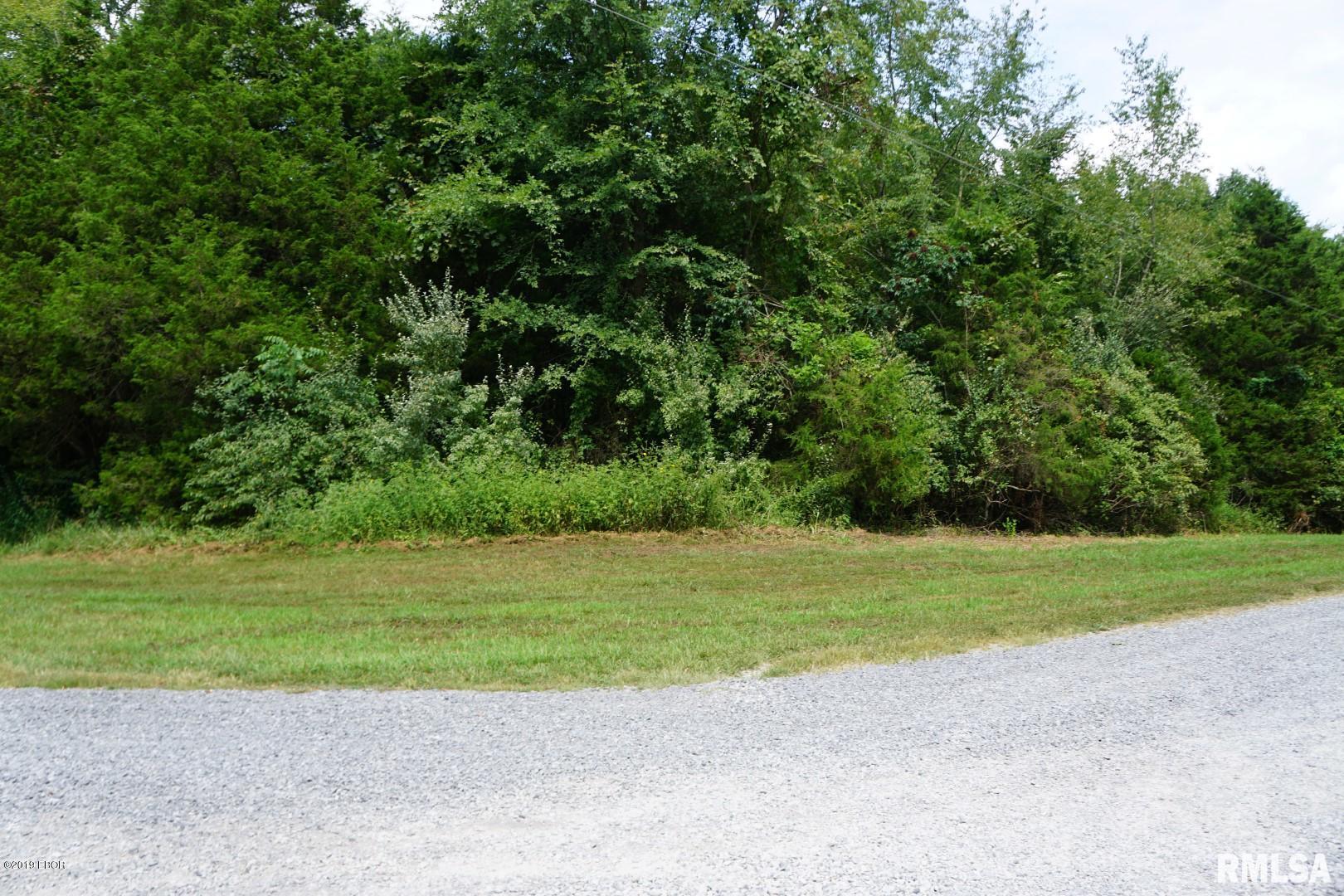 0 Sugar Creek Road Goreville, IL 62939 - Photo 2 of 8 Gallery Image 2