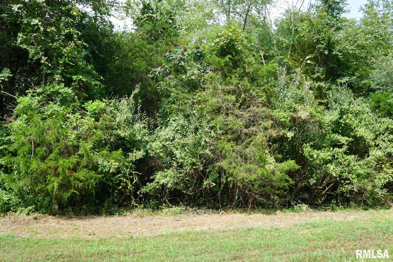 0 Sugar Creek Road Goreville, IL 62939 - Photo 3 of 8 Gallery Image 3