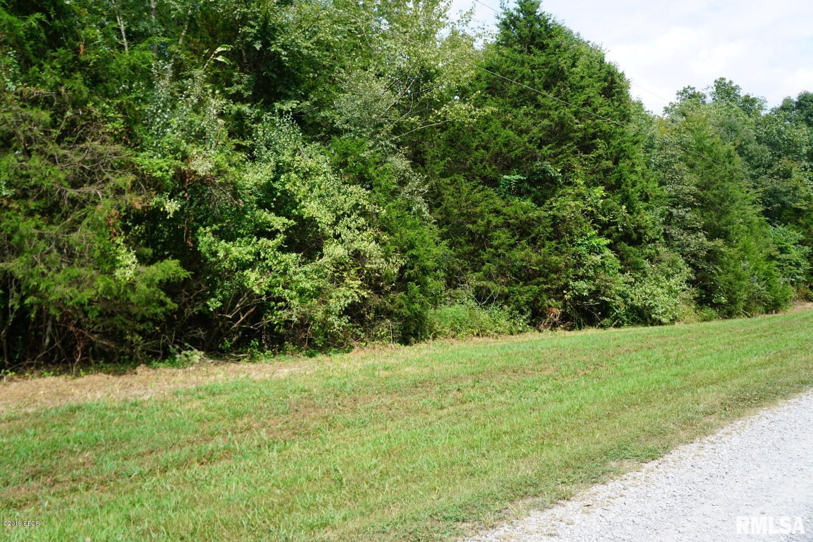 0 Sugar Creek Road Goreville, IL 62939 - Photo 4 of 8 Gallery Image 4