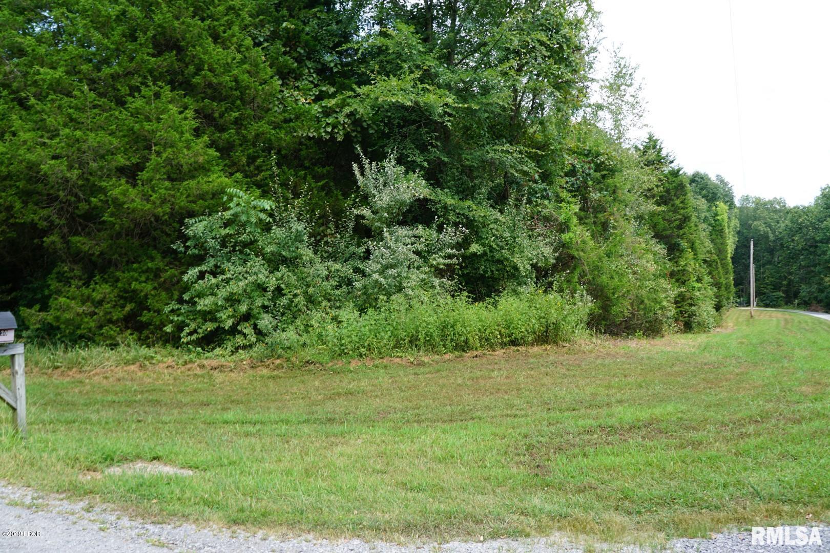 0 Sugar Creek Road Goreville, IL 62939 - Photo 5 of 8 Gallery Image 5
