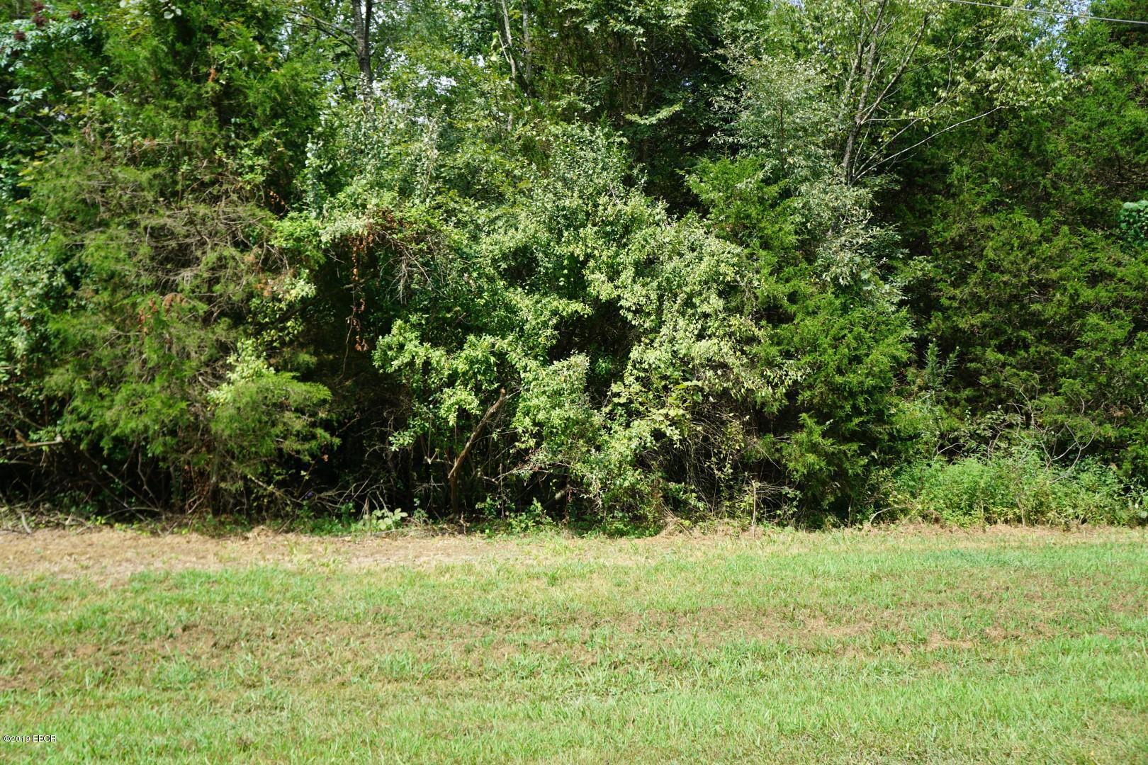 0 Sugar Creek Road Goreville, IL 62939 - Photo 6 of 8 Gallery Image 6