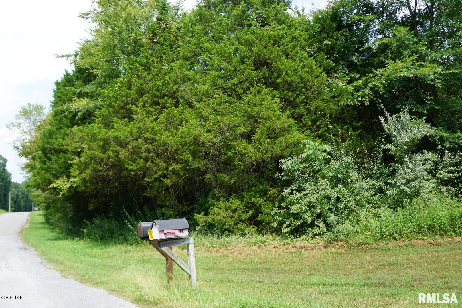 0 Sugar Creek Road Goreville, IL 62939 - Photo 8 of 8 Gallery Image 8