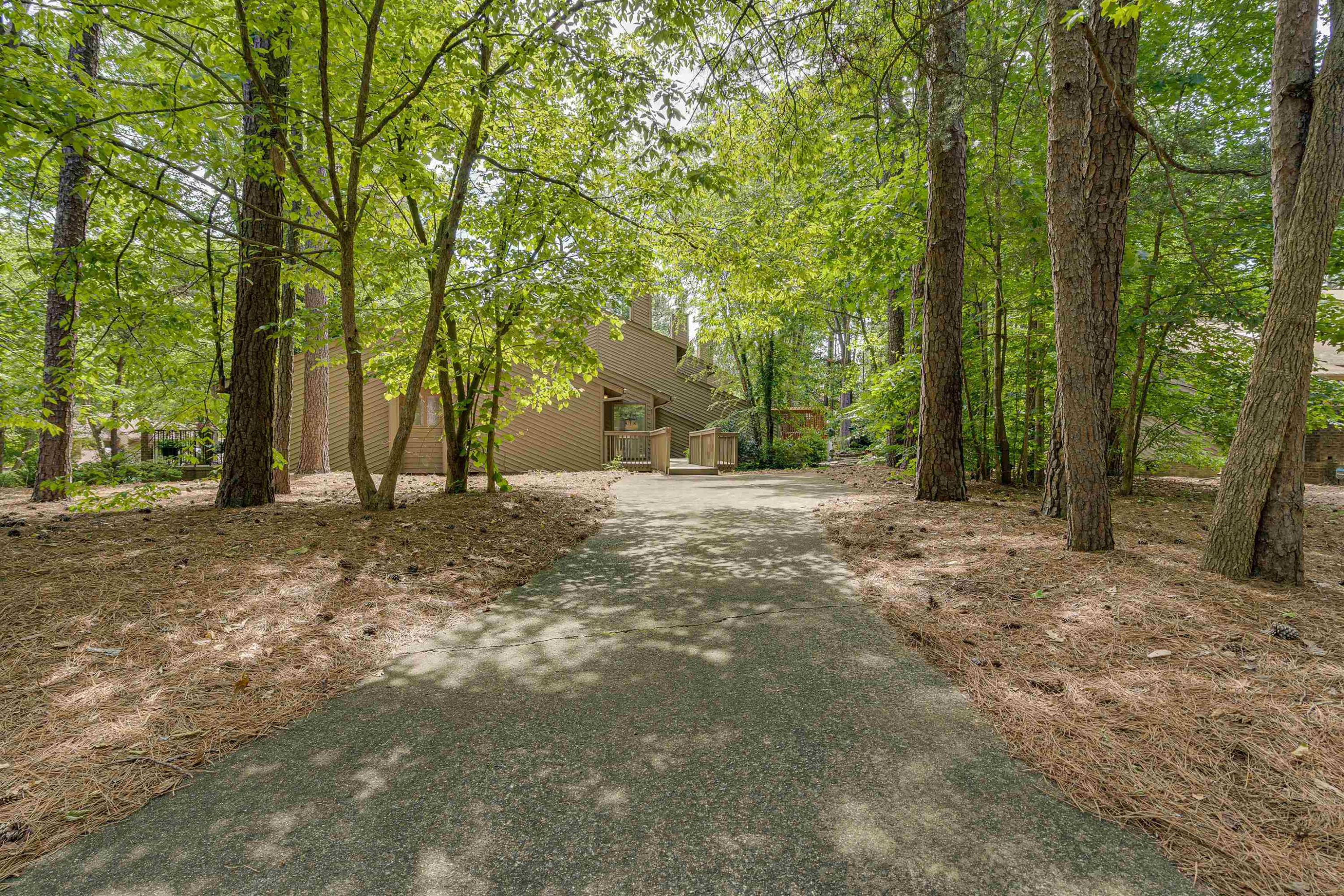 1 Pinnacle Road Durham, NC 27705 - Photo 36 of 38 a view of backyard with tree