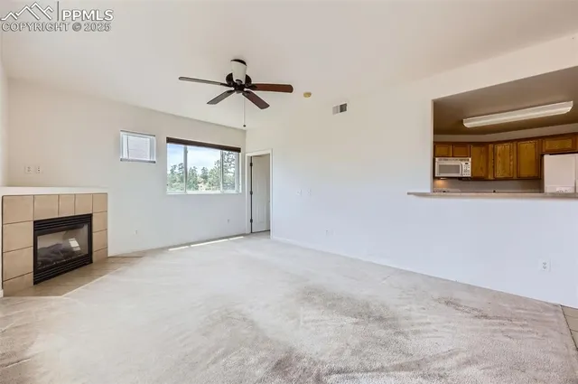 a view of empty room with windows and fireplace