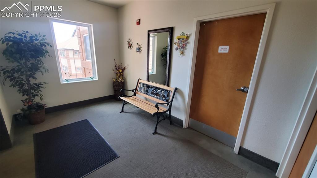 3755 Hartsock Lane, Unit 203 Colorado Springs, CO 80917 - Photo 36 of 43 a living room with furniture and a window