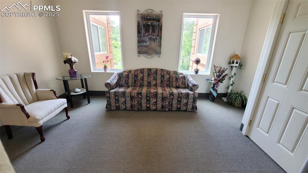 3755 Hartsock Lane, Unit 203 Colorado Springs, CO 80917 - Photo 37 of 43 a living room with furniture and a window