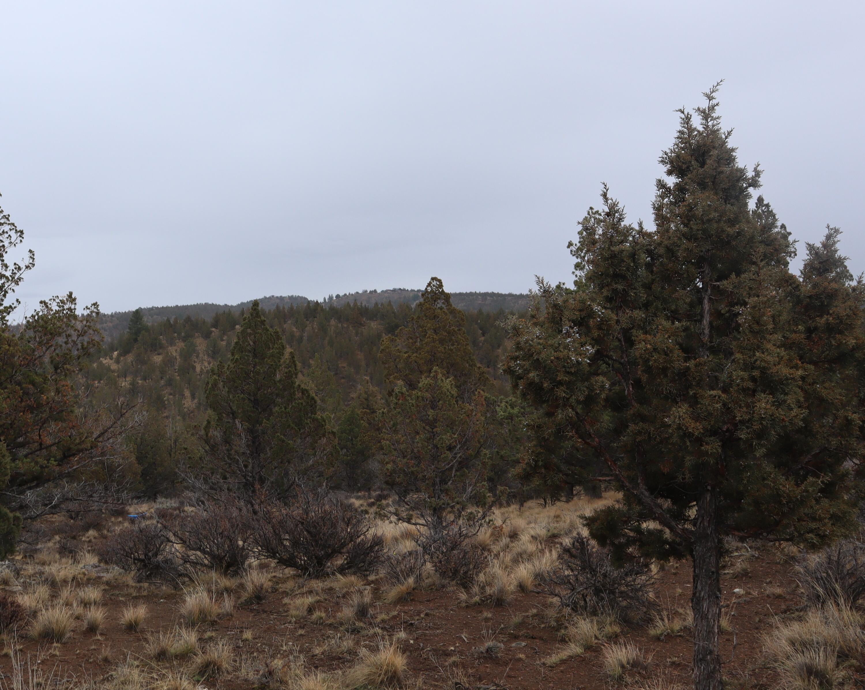 20102 Osprey Road, Unit 800 Prineville, OR 97754 - Photo 19 of 20 IMG_1535