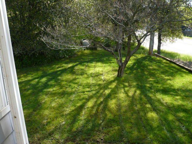 20140 Old Alturas Road Redding, CA 96003 - Photo 3 of 12 Lawn Area