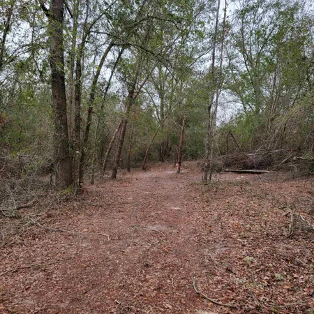 $175,000 | Vacant 20-ac Southeast Vacant 20-ac Se Parliament Trail, Lee, FL 32059
