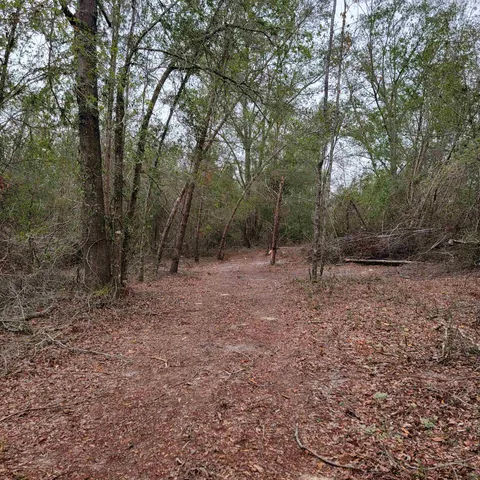 $175,000 | Vacant 20-ac Southeast Vacant 20-ac Se Parliament Trail, Lee, FL 32059