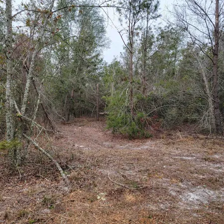 $175,000 | Vacant 20-ac Southeast Vacant 20-ac Se Parliament Trail, Lee, FL 32059