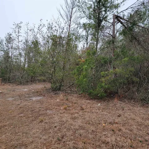 $175,000 | Vacant 20-ac Southeast Vacant 20-ac Se Parliament Trail, Lee, FL 32059