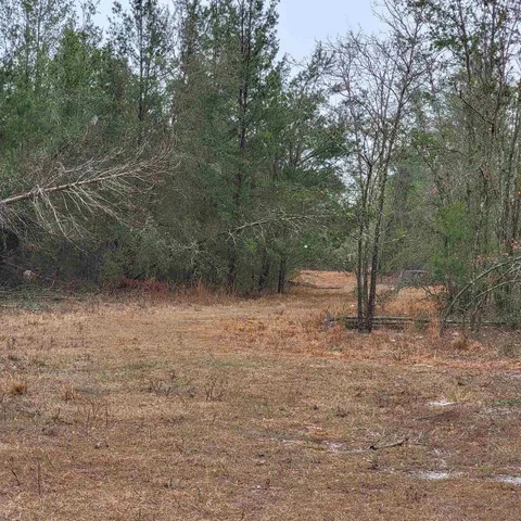 $175,000 | Vacant 20-ac Southeast Vacant 20-ac Se Parliament Trail, Lee, FL 32059